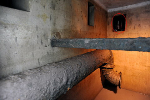 Ma xuat hien trong nhung buc anh Viet Nam